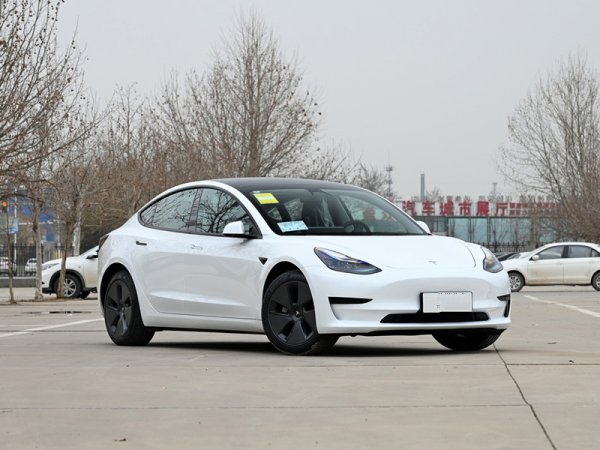 Tesla Model3 556KM EV CAR