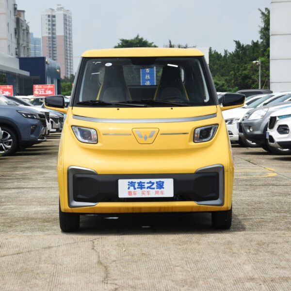 Wuling Nano EV car New Energy Electric Car