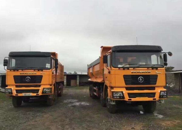 Germany MAN Truck technology SHACMAN F3000 40t 12 Wheeler Tipper Truck