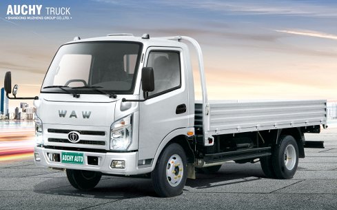 FOTON Brand 3 Ton Mini Light Cargo Truck Price